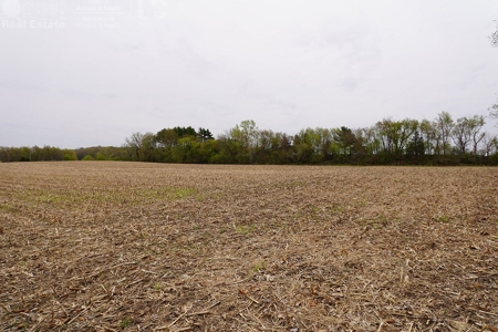 70 AC Dalton Wisconsin Live Land Auction 6/15/19 1PM - image 12