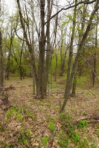 70 AC Dalton Wisconsin Live Land Auction 6/15/19 1PM - image 4
