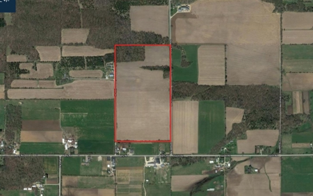 70 AC Dalton Wisconsin Live Land Auction 6/15/19 1PM - image 15