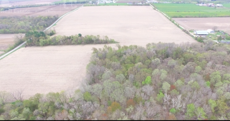 70 AC Dalton Wisconsin Live Land Auction 6/15/19 1PM - image 14