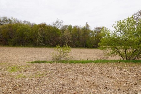 70 AC Dalton Wisconsin Live Land Auction 6/15/19 1PM - image 2