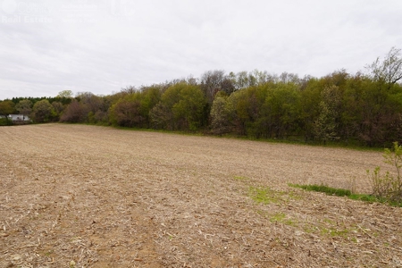 70 AC Dalton Wisconsin Live Land Auction 6/15/19 1PM - image 3