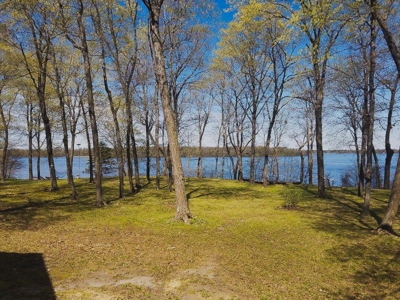 Premiere East Battle Lake Property Auction - image 5