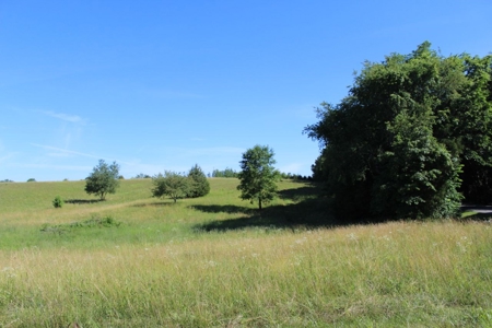 Excellent Warren County Building Lots Available at Auction - image 6