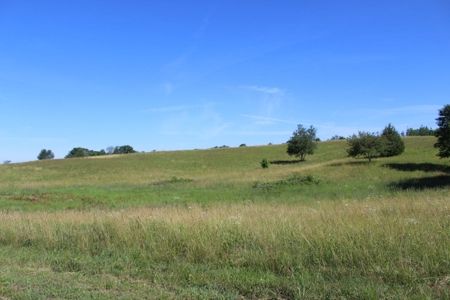 Excellent Warren County Building Lots Available at Auction - image 5