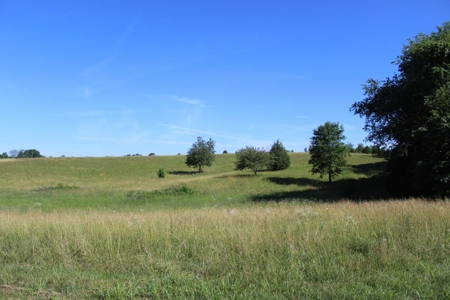 Excellent Warren County Building Lots Available at Auction - image 4