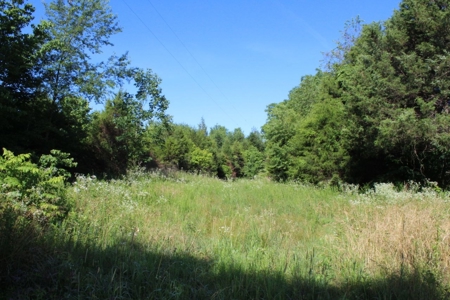 Excellent Warren County Building Lots Available at Auction - image 9