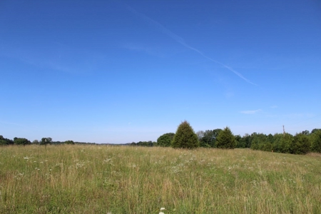 Excellent Warren County Building Lots Available at Auction - image 14