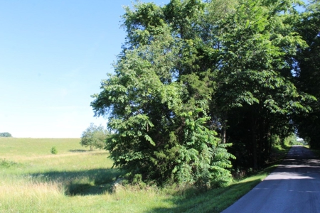 Excellent Warren County Building Lots Available at Auction - image 7