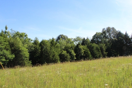 Excellent Warren County Building Lots Available at Auction - image 13