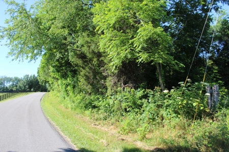 Excellent Warren County Building Lots Available at Auction - image 11