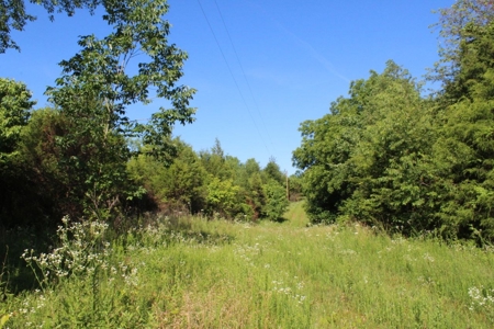 Excellent Warren County Building Lots Available at Auction - image 10