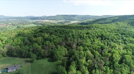 Absolute Auction    July 20, 2019   10 Am Cst - image 9