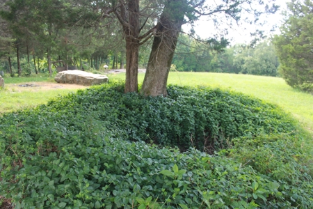 Prime Hunting Land, Hart County KY near Mammoth Cave Natl Pk - image 24