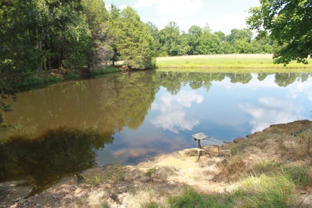 Prime Hunting Land, Hart County KY near Mammoth Cave Natl Pk - image 14