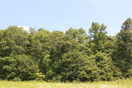 Prime Hunting Land, Hart County KY near Mammoth Cave Natl Pk - image 29