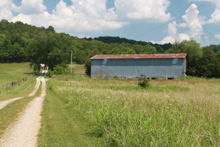 Prime Hunting Land, Hart County KY near Mammoth Cave Natl Pk - image 8