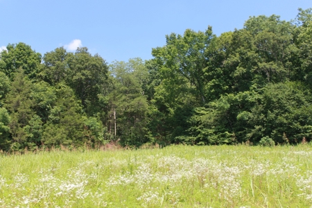Prime Hunting Land, Hart County KY near Mammoth Cave Natl Pk - image 13