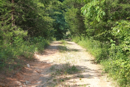 Prime Hunting Land, Hart County KY near Mammoth Cave Natl Pk - image 11