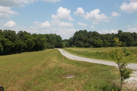 Prime Hunting Land, Hart County KY near Mammoth Cave Natl Pk - image 4