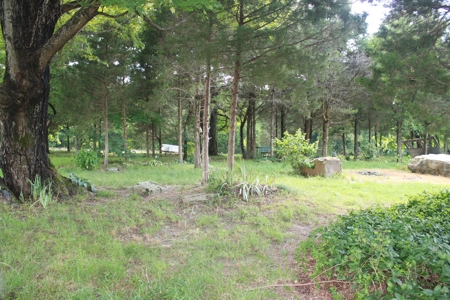 Prime Hunting Land, Hart County KY near Mammoth Cave Natl Pk - image 25