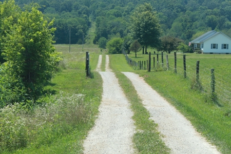 Prime Hunting Land, Hart County KY near Mammoth Cave Natl Pk - image 7
