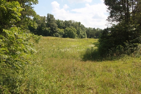 Prime Hunting Land, Hart County KY near Mammoth Cave Natl Pk - image 33
