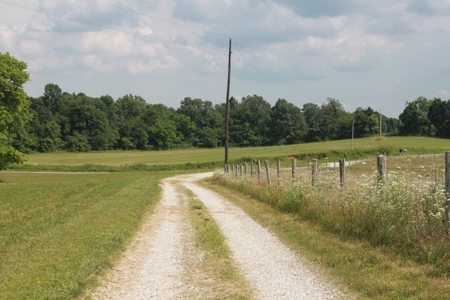 Prime Hunting Land, Hart County KY near Mammoth Cave Natl Pk - image 21