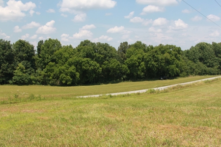 Prime Hunting Land, Hart County KY near Mammoth Cave Natl Pk - image 2