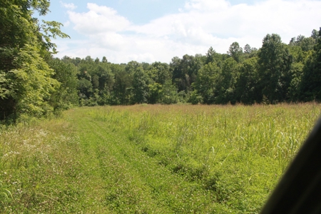 Prime Hunting Land, Hart County KY near Mammoth Cave Natl Pk - image 32