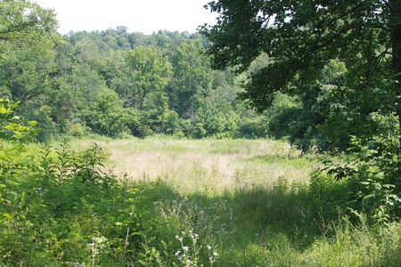 Prime Hunting Land, Hart County KY near Mammoth Cave Natl Pk - image 28