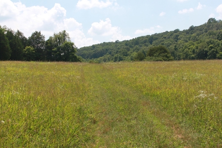 Prime Hunting Land, Hart County KY near Mammoth Cave Natl Pk - image 1
