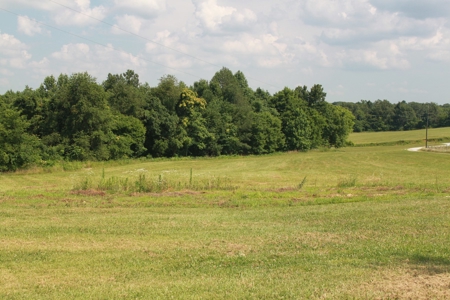 Prime Hunting Land, Hart County KY near Mammoth Cave Natl Pk - image 20