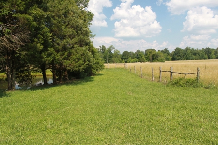 Prime Hunting Land, Hart County KY near Mammoth Cave Natl Pk - image 23