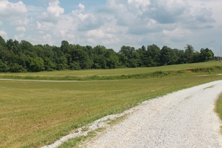 Prime Hunting Land, Hart County KY near Mammoth Cave Natl Pk - image 22
