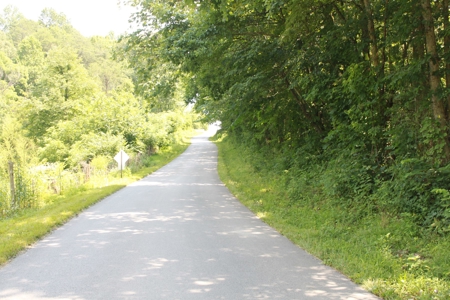 Prime Hunting Land, Hart County KY near Mammoth Cave Natl Pk - image 6
