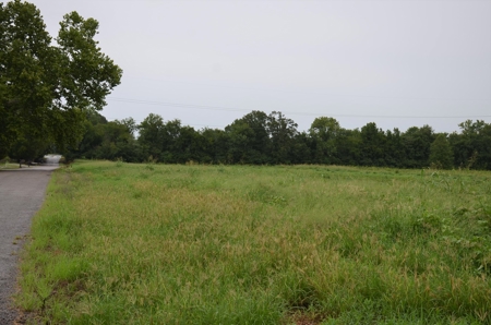 60 ACRES - ABSOLUTE LIVE AUCTION 10165 Co Rd 460 MOULTON, AL - image 15