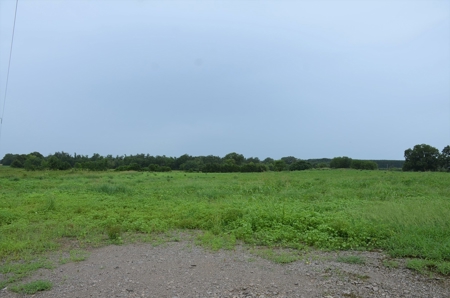 60 ACRES - ABSOLUTE LIVE AUCTION 10165 Co Rd 460 MOULTON, AL - image 14