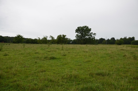 60 ACRES - ABSOLUTE LIVE AUCTION 10165 Co Rd 460 MOULTON, AL - image 13