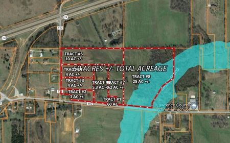 60 ACRES - ABSOLUTE LIVE AUCTION 10165 Co Rd 460 MOULTON, AL - image 17
