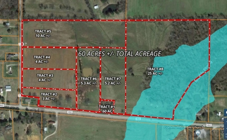 60 ACRES - ABSOLUTE LIVE AUCTION 10165 Co Rd 460 MOULTON, AL - image 16