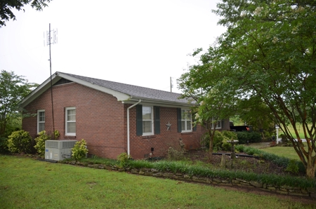 60 ACRES - ABSOLUTE LIVE AUCTION 10165 Co Rd 460 MOULTON, AL - image 5
