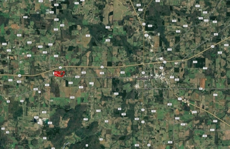 60 ACRES - ABSOLUTE LIVE AUCTION 10165 Co Rd 460 MOULTON, AL - image 18