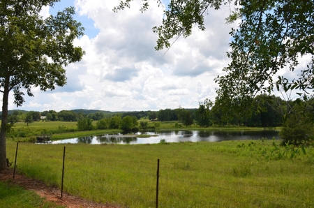 222 Ac Cattle Farm, Duck Hunting, Deer Hunting - image 44