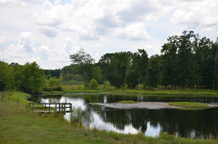 222 Ac Cattle Farm, Duck Hunting, Deer Hunting - image 42