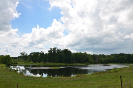 222 Ac Cattle Farm, Duck Hunting, Deer Hunting - image 43