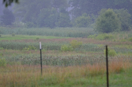 222 Ac Cattle Farm, Duck Hunting, Deer Hunting - image 37