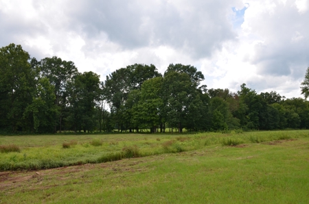 222 Ac Cattle Farm, Duck Hunting, Deer Hunting - image 18