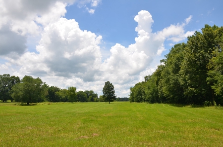 222 Ac Cattle Farm, Duck Hunting, Deer Hunting - image 1
