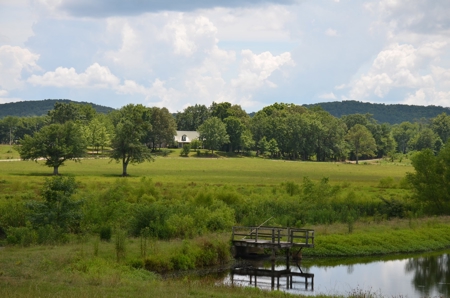 222 Ac Cattle Farm, Duck Hunting, Deer Hunting - image 46